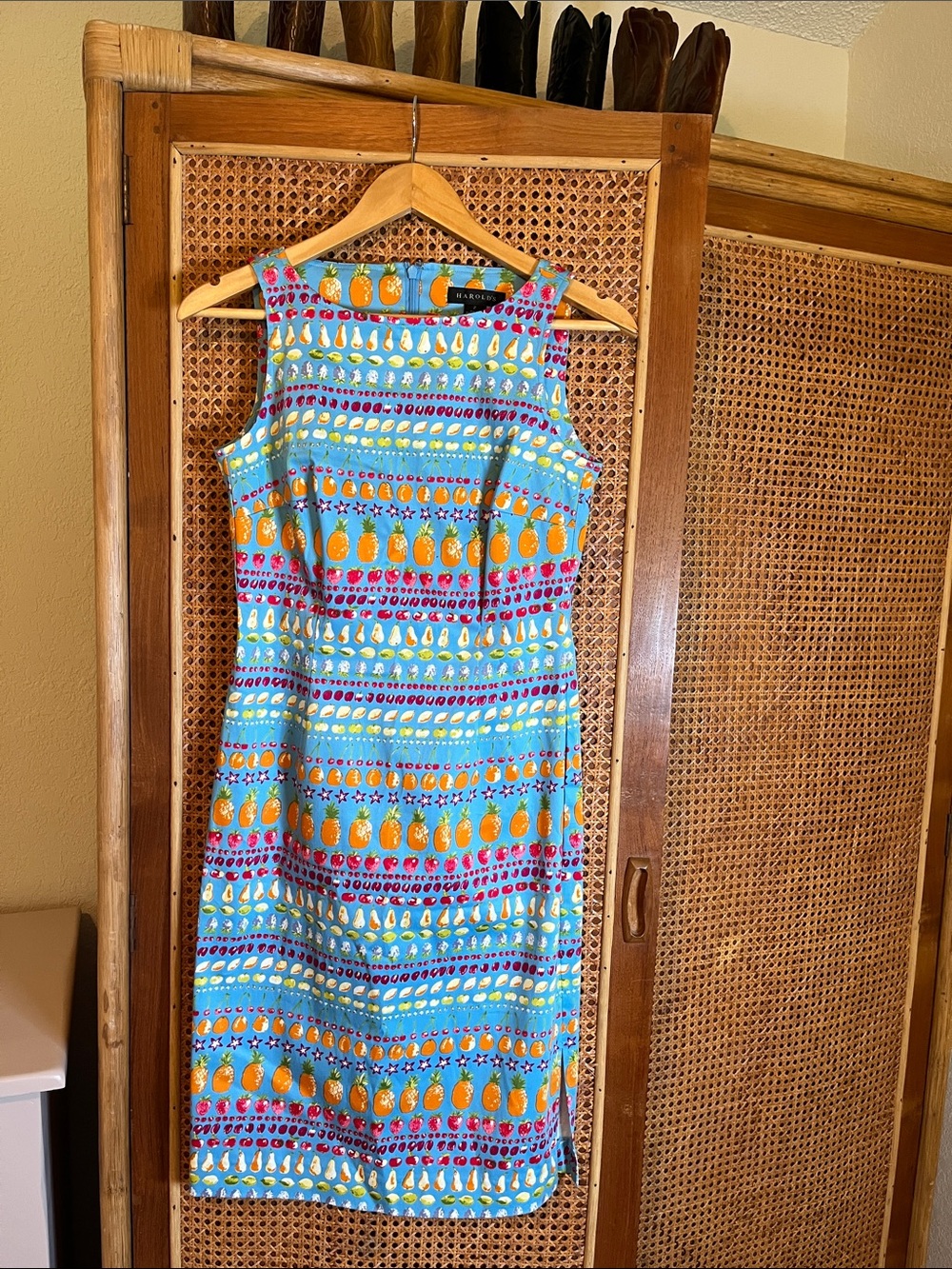 Women’s Harold’s Sleeveless Blue Fruit Print Sheath Dress NWT Size 2